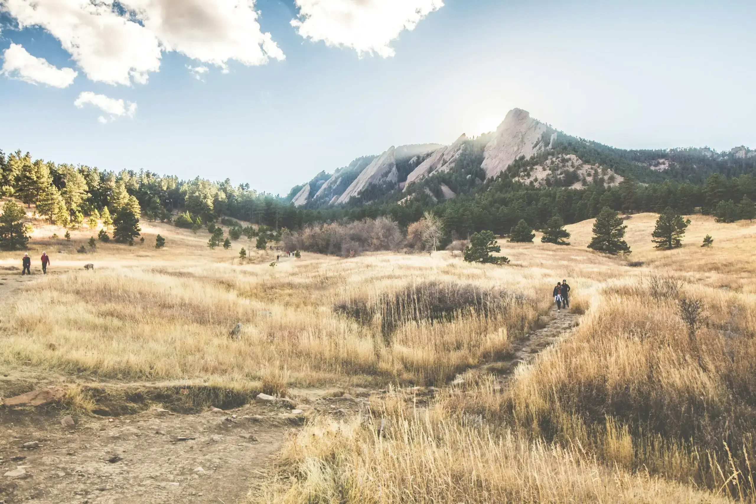 Hikers walking along golden meadow toward foothills
